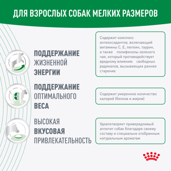 Royal Canin Mini Adult 8+ сухой корм для пожилых собак мелких пород старше 8 лет - 2 кг