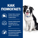 Hills Prescription Diet t/d диетический сухой корм для собак при заболеваниях полости рта, с курицей - 4 кг