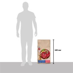 Сухой корм Purina ONE® МИНИ для взрослых собак мелких пород с говядиной и с рисом, 7кг