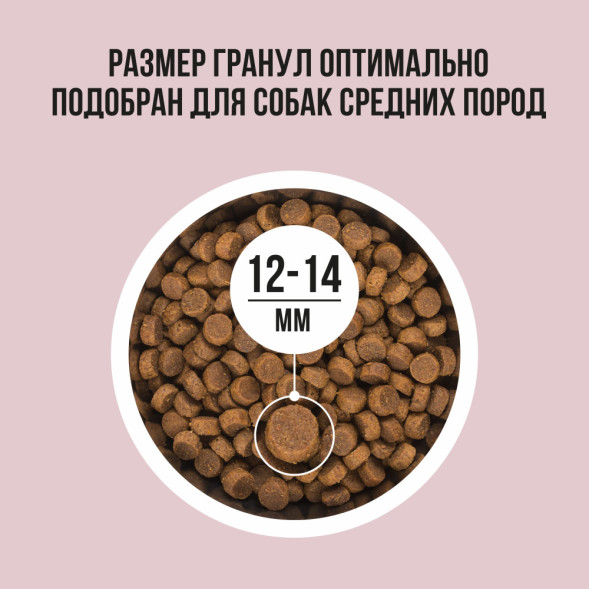 BOWL WOW сухой корм для взрослых собак средних пород с индейкой, рисом и яблоком - 5 кг