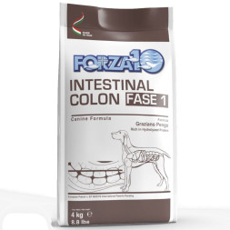 Forza10 Intestinal colitis Fase полнорационный диетический корм для взрослых собак, с рыбой - 10 кг