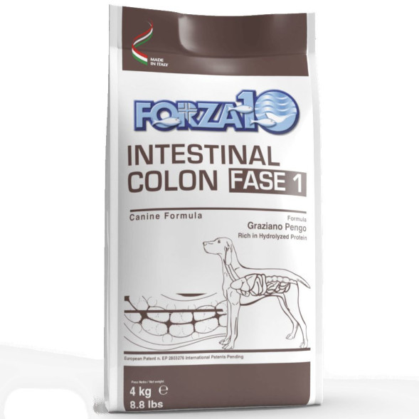 Forza10 Intestinal colitis Fase полнорационный диетический корм для взрослых собак, с рыбой - 10 кг