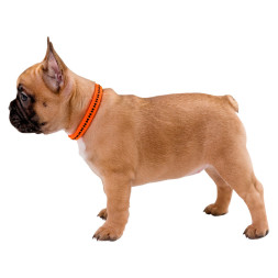 Hunter Power Grip VP 40-55 oшейник для собак, L (40-55 см), оранжевый