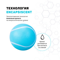 Playology SQUEAKY CHEW BALL хрустящий жевательный мяч для собак с пищалкой и с ароматом арахиса, 6 см, голубой