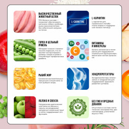 BOWL WOW сухой корм для взрослых собак средних пород с индейкой, рисом и яблоком - 2 кг