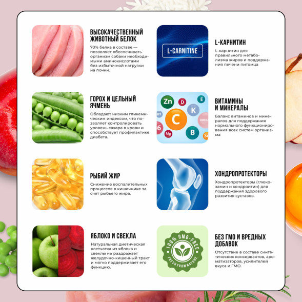 BOWL WOW сухой корм для взрослых собак средних пород с индейкой, рисом и яблоком - 2 кг