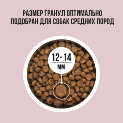 BOWL WOW сухой корм для взрослых собак средних пород с индейкой, рисом и яблоком - 2 кг