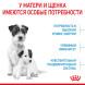 Royal Canin Mini Starter Mother &amp;amp; Babydog сухой корм для щенков до 2 месяцев мелких пород - 3 кг