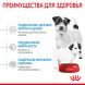 Royal Canin Mini Starter Mother &amp;amp; Babydog сухой корм для щенков до 2 месяцев мелких пород - 3 кг
