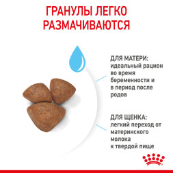 Royal Canin Mini Starter Mother &amp;amp; Babydog сухой корм для щенков до 2 месяцев мелких пород - 3 кг