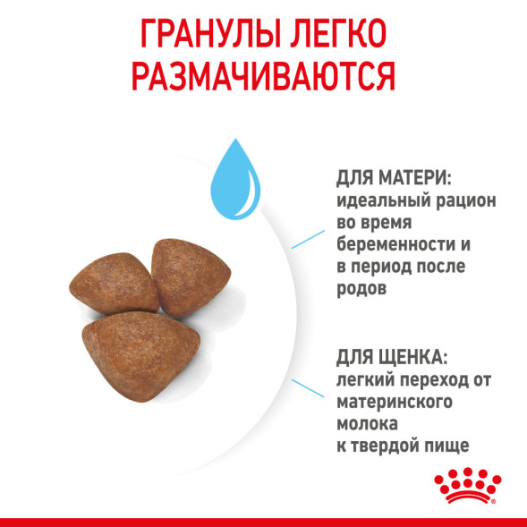Royal Canin Mini Starter Mother &amp;amp; Babydog сухой корм для щенков до 2 месяцев мелких пород - 3 кг