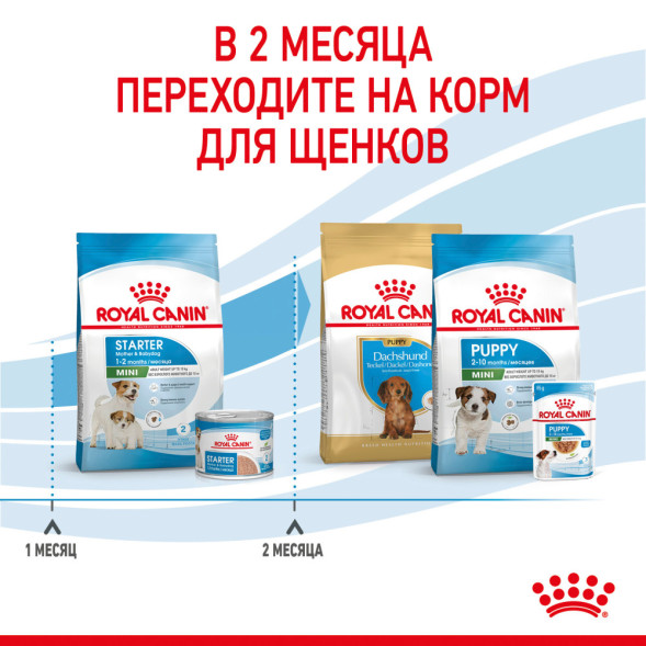 Royal Canin Mini Starter Mother &amp;amp; Babydog сухой корм для щенков до 2 месяцев мелких пород - 3 кг