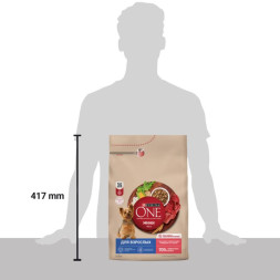 Сухой корм Purina ONE® МИНИ для взрослых собак мелких пород с говядиной и с рисом, 3 кг