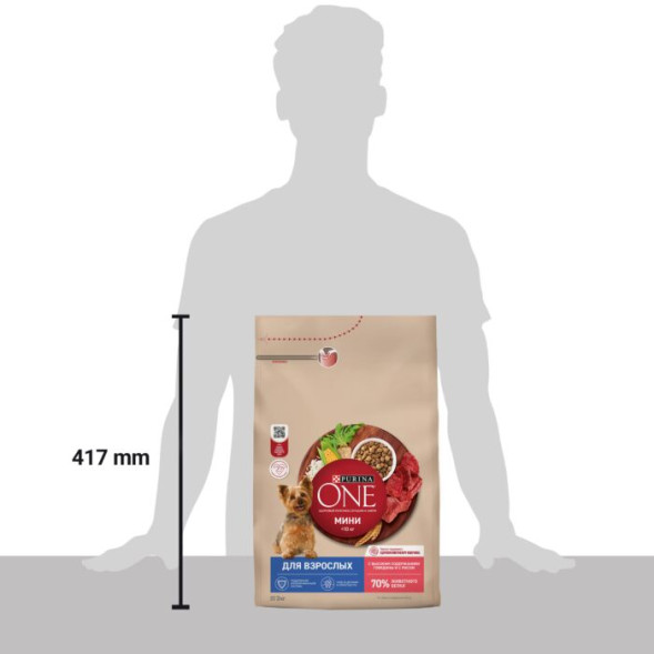 Сухой корм Purina ONE® МИНИ для взрослых собак мелких пород с говядиной и с рисом, 3 кг