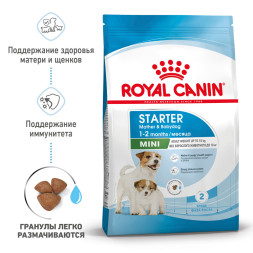 Royal Canin Mini Starter Mother & Babydog сухой корм для щенков, беременных и лактирующих сук мелких пород - 1 кг