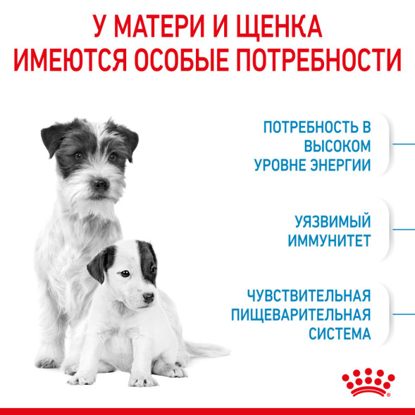 Royal Canin Mini Starter Mother &amp;amp; Babydog сухой корм для щенков, беременных и лактирующих сук мелких пород - 1 кг