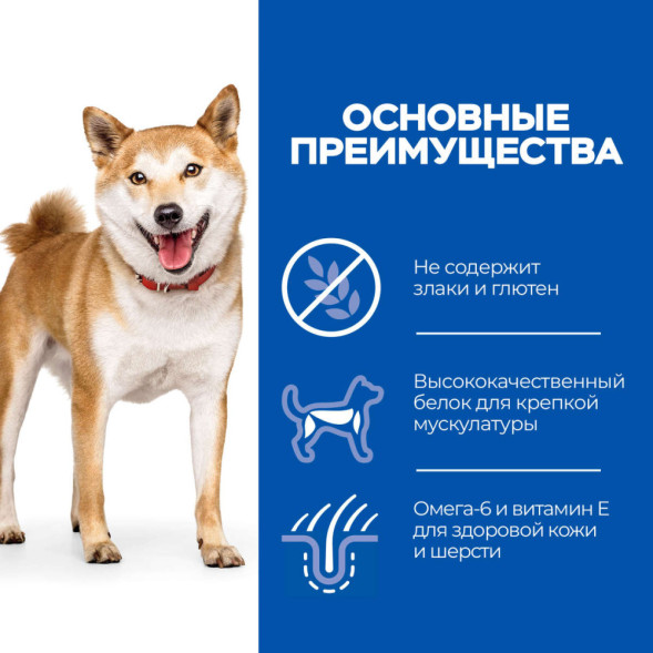 Hills Science Plan No Grain сухой беззерновой корм для собак средних пород с курицей и картофелем - 2,5 кг