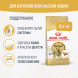 Royal Canin Bengal сухой корм для взрослых бенгальских кошек - 400 г