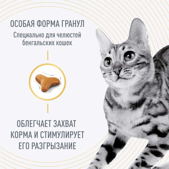 Royal Canin Bengal сухой корм для взрослых бенгальских кошек - 400 г