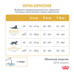 Royal Canin Bengal сухой корм для взрослых бенгальских кошек - 400 г
