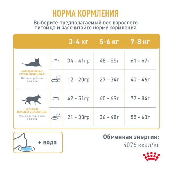 Royal Canin Bengal сухой корм для взрослых бенгальских кошек - 400 г