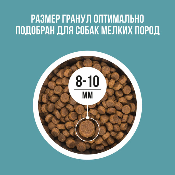 BOWL WOW сухой корм для взрослых собак мелких пород с индейкой, рисом и розмарином - 2 кг