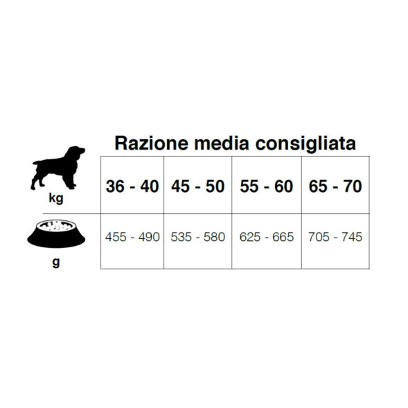 Forza10 Maxi Diet сухой корм для взрослых собак крупных пород при аллергии из рыбы с микрокапсулами - 12 кг