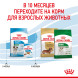 Royal Canin Mini Puppy сухой корм для щенков мелких пород до 8 месяцев - 800 г