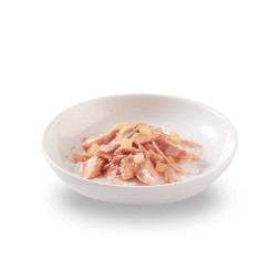 Schesir Cat Adult влажный корм для взрослых кошек с цыпленком и яблоком в консервах - 75 г х 14 шт