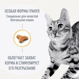 Royal Canin Bengal сухой корм для взрослых бенгальских кошек - 2 кг