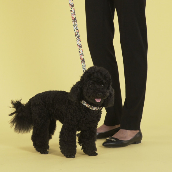 United Pets Complete me поводок для собак, 140 см, 20 мм, разноцветный рисунок