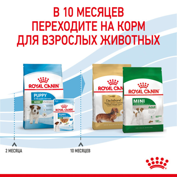 Royal Canin Mini Puppy сухой корм для щенков мелких пород до 8 месяцев - 4 кг