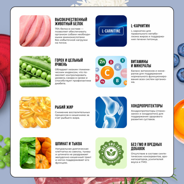 BOWL WOW сухой корм для щенков крупных пород с индейкой, ягненком, рисом и черникой - 5 кг