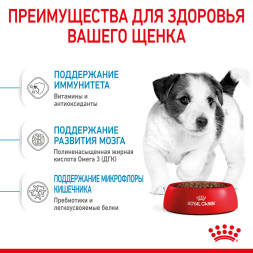 Royal Canin Mini Puppy сухой корм для щенков мелких пород до 8 месяцев - 2 кг