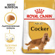 Royal Canin Cocker Adult корм для собак породы кокер-спаниель в возрасте от 12 месяцев - 3 кг