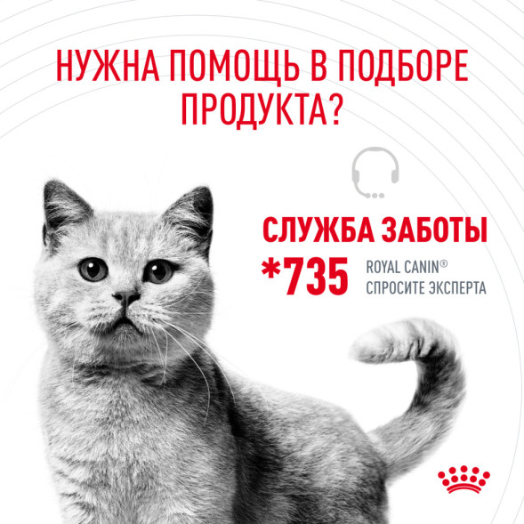 Royal Canin Hair&amp;amp;Skin Care влажный корм для взрослых кошек, для поддержания здоровья кожи и красоты шерсти, тонкие ломтики в желе, в паучах - 85 г х 28 шт