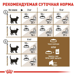 Royal Canin Ageing Sterilised 12+ сухой корм для стерилизованных кошек старше 12 лет