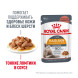 Royal Canin Hair&amp;amp;Skin Care влажный корм для взрослых кошек, для поддержания здоровья кожи и красоты шерсти, тонкие ломтики в соусе, в паучах - 85 г х 28 шт