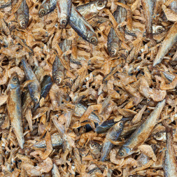 Sera RAFFY Royal корм для рептилий - 1 л (220 г)