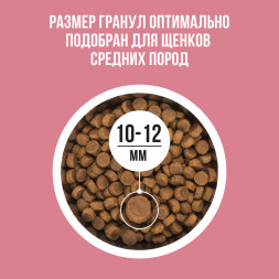 BOWL WOW сухой корм для щенков средних пород с индейкой, ягненком, рисом и брусникой - 2 кг