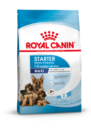 Royal Canin Maxi Starter Mother &amp;amp; Babydog для щенков крупных размеров до 2-месяцев и сук в последней трети беременности и во время лактации - 4 кг