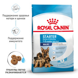 Royal Canin Maxi Starter Mother &amp;amp; Babydog для щенков крупных размеров до 2-месяцев и сук в последней трети беременности и во время лактации - 4 кг
