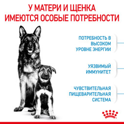Royal Canin Maxi Starter Mother &amp;amp; Babydog для щенков крупных размеров до 2-месяцев и сук в последней трети беременности и во время лактации - 4 кг