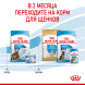 Royal Canin Maxi Starter Mother &amp;amp; Babydog для щенков крупных размеров до 2-месяцев и сук в последней трети беременности и во время лактации - 4 кг