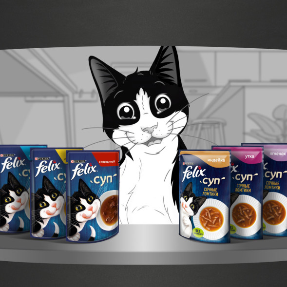 Felix неполнорационный влажный корм для взрослых кошек, суп с сочными ломтиками индейки, в паучах - 48 г х 36 шт