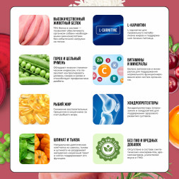 BOWL WOW сухой корм для щенков средних пород с индейкой, рисом и клюквой - 5 кг