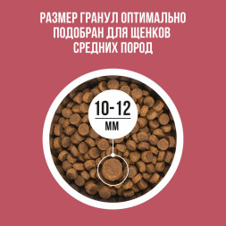 BOWL WOW сухой корм для щенков средних пород с индейкой, рисом и клюквой - 5 кг