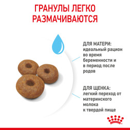 Royal Canin Maxi Starter сухой корм для щенков крупных пород в период отъема до 2 - месячного возраста, беременных и кормящих сук - 15 кг