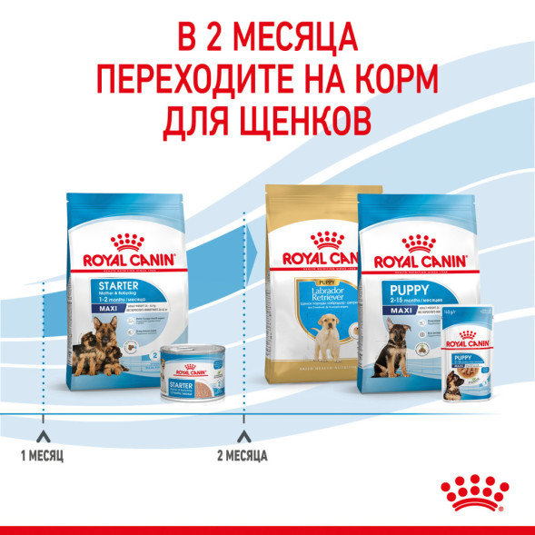 Royal Canin Maxi Starter сухой корм для щенков крупных пород в период отъема до 2 - месячного возраста, беременных и кормящих сук - 15 кг