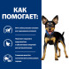 Hills Prescription Diet Metabolic Mini диетический сухой корм для собак миниатюрных пород для достижения и поддержания оптимального веса, с курицей - 1 кг